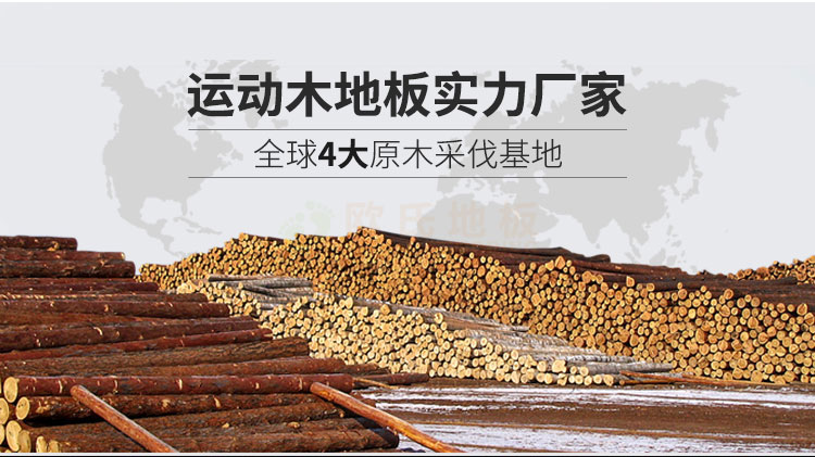 溫州體育館運動木地板翻新