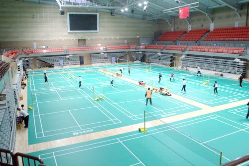 體育地板 體育地板