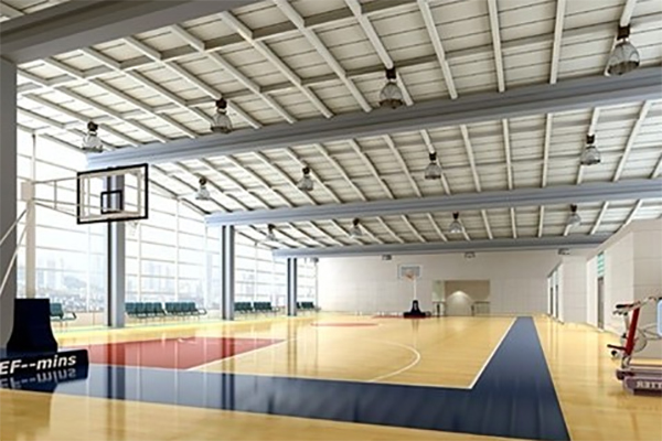 體育木地板 體育木地板