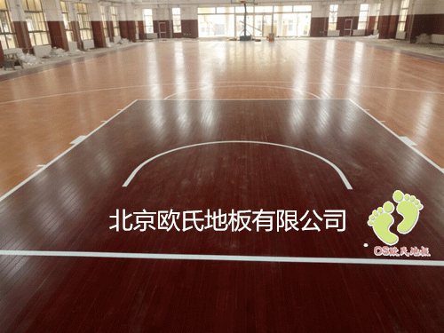 山東臨沂72313部隊籃球館木地板案例 山東臨沂72313部隊籃球館木地板案例