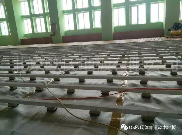 汕頭特殊教育學校籃球館木地板案例圖3 汕頭特殊教育學校籃球館木地板案例圖3