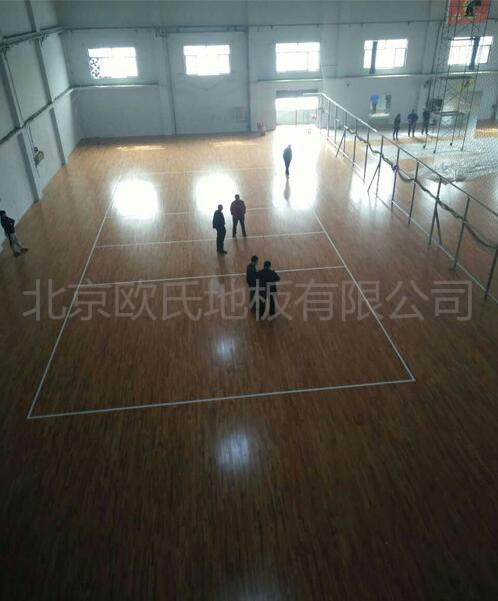 邢臺帥博體育體育館木地板案例圖3 邢臺帥博體育體育館木地板案例圖3