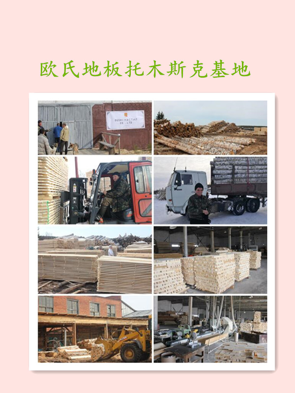 歐氏地板托木斯克基地 歐氏地板托木斯克基地