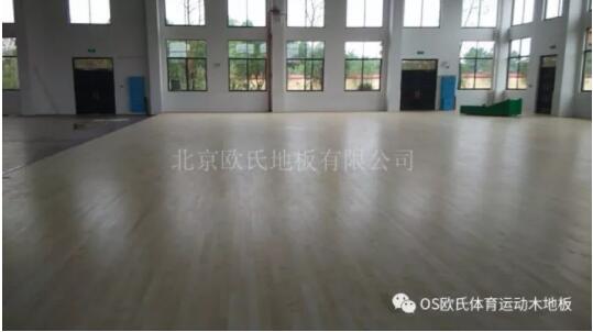 湖南寧鄉縣城南實驗小學體育館木地板成功案例 湖南寧鄉縣城南實驗小學體育館木地板成功案例