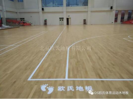 臨沂市理工學校體育館木地板成功案例 臨沂市理工學校體育館木地板成功案例