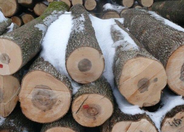 國(guó)產(chǎn)東北楓木和國(guó)外的美國(guó)楓木、加拿大楓木哪種更好