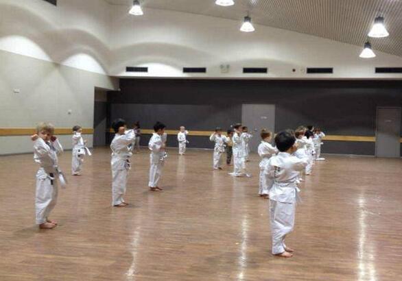 體育館和武術(shù)館的維護(hù)和保養(yǎng) 體育館和武術(shù)館的維護(hù)和保養(yǎng)