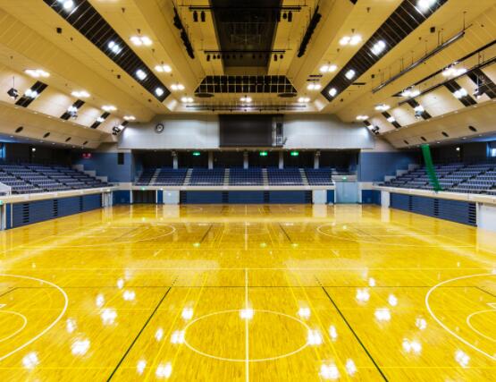 體育館和武術(shù)館的維護(hù)和保養(yǎng) 體育館和武術(shù)館的維護(hù)和保養(yǎng)