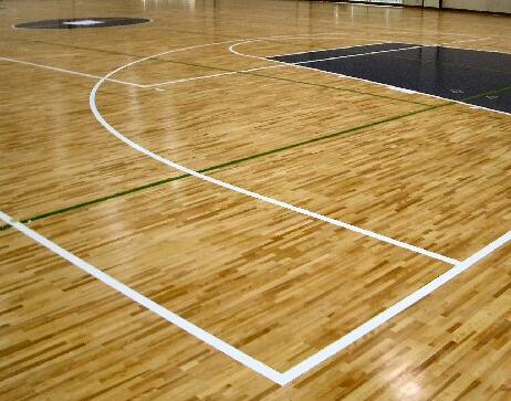 體育館和武術(shù)館的維護(hù)和保養(yǎng) 體育館和武術(shù)館的維護(hù)和保養(yǎng)