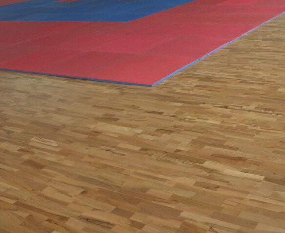 體育運(yùn)動地板 體育運(yùn)動地板