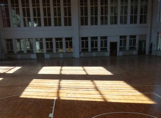 室內體育地板 室內體育地板