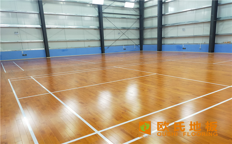 廣東惠來(lái)縣大南海開(kāi)發(fā)區(qū)羽毛球館木地板案例