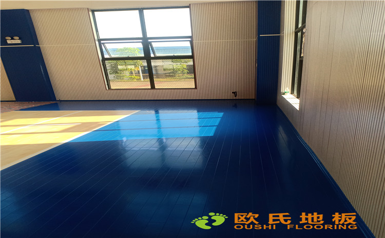 廣西安能籃球館木地板項目案例