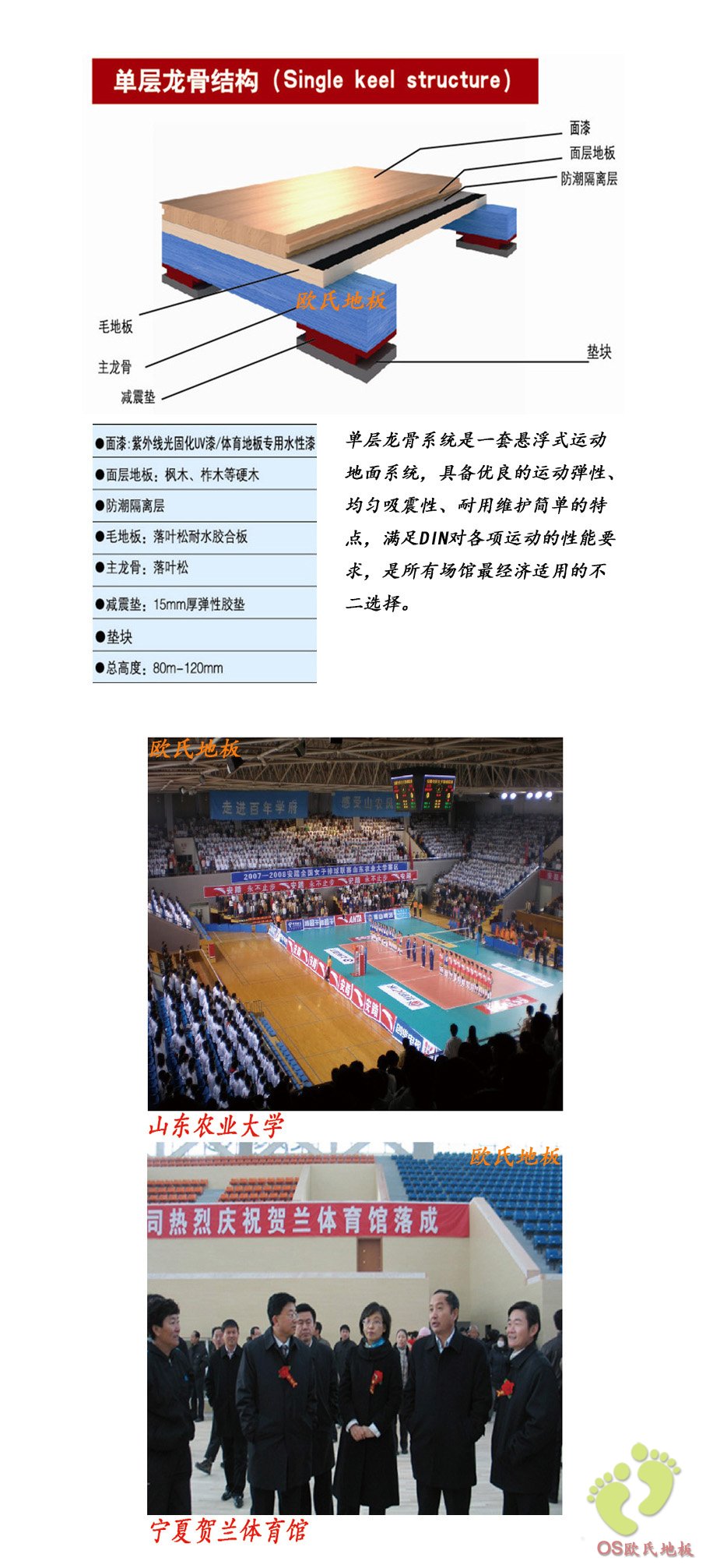 歐式地板體育運(yùn)動(dòng)地板單層龍骨結(jié)構(gòu)